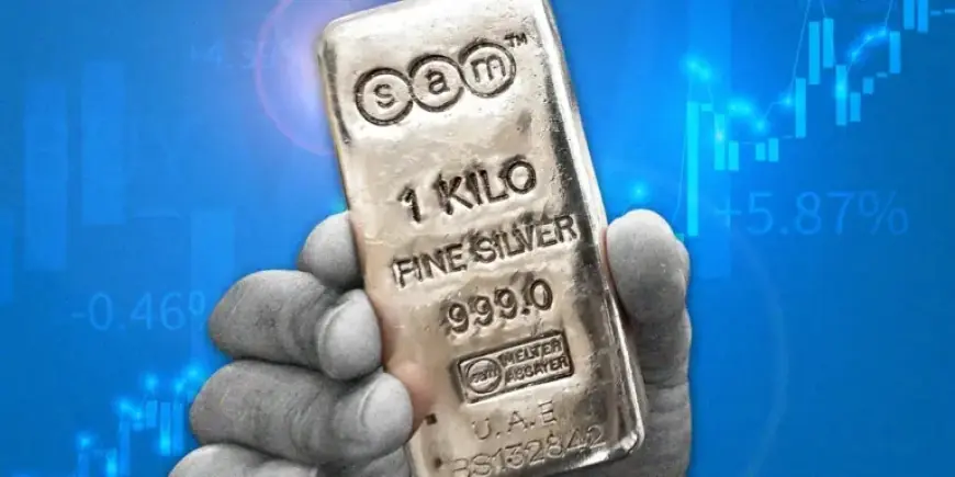 Comprehensive Investor Guide: Historic Silver Rally Explained in 10 Charts