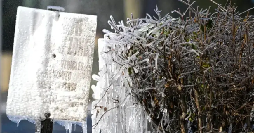 Rare Southern Snowfall Transforms Parts of Georgia