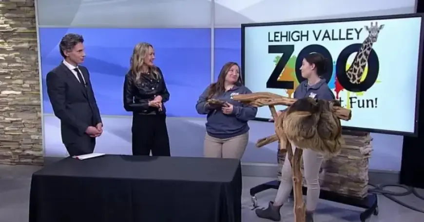 Exclusive Insight: Special Guests from Lehigh Valley Zoo Unveiled