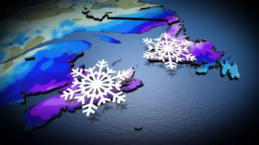 Coastal Storm Brings Up to 30 cm of Snow to Eastern Region