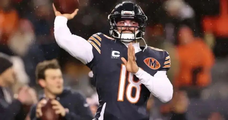 Rams vs. Bears: Live NFL Playoffs Score, Predictions, and Odds Update