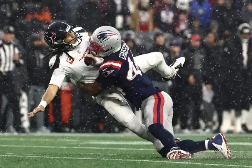 Patriots Triumph Over Texans in Turnover-Filled Battle to Reach AFC Championship