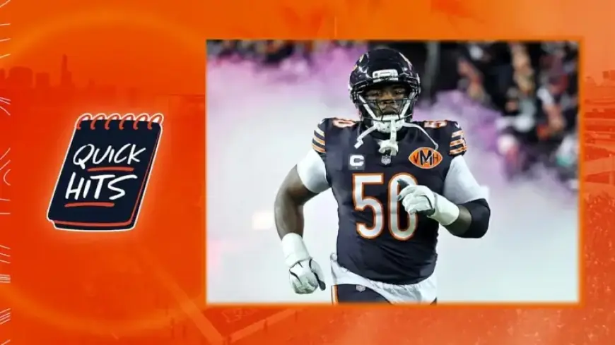 Grady Jarrett Solidifies Bears Defense as Key Veteran