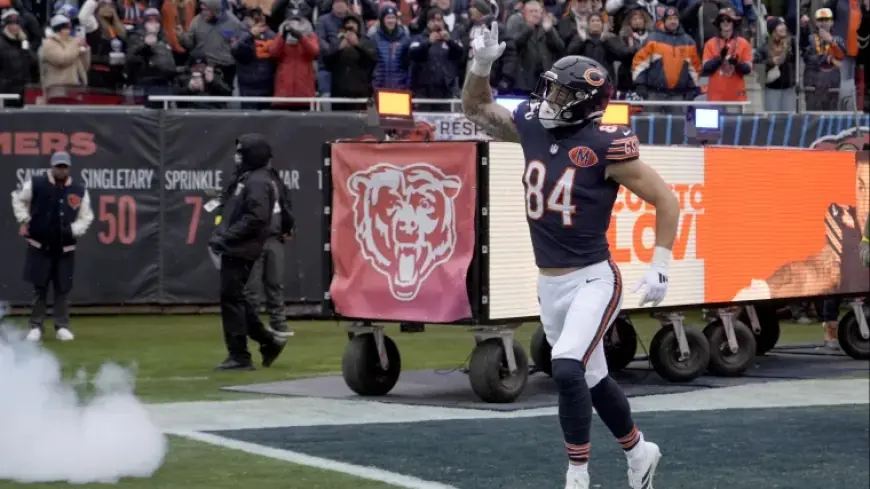 Colston Loveland Injury Update: Bears TE’s Status for Divisional Round Revealed
