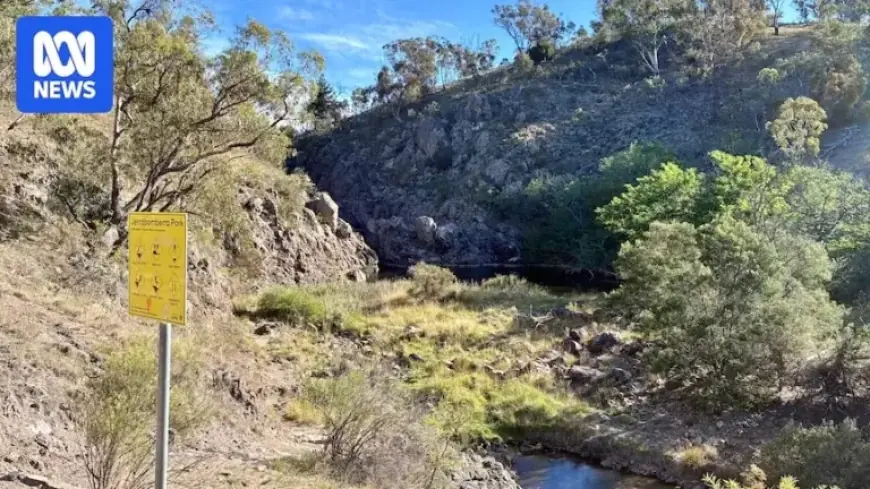 Teen Succumbs to Injuries After Fall Near Jerrabomberra Waterhole