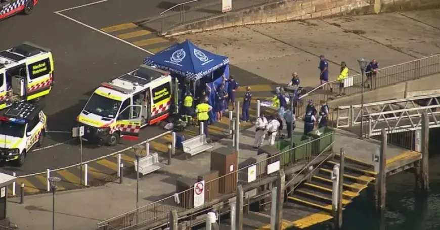 Friends and Emergency Services Heroically Save Boy in Sydney Shark Attack