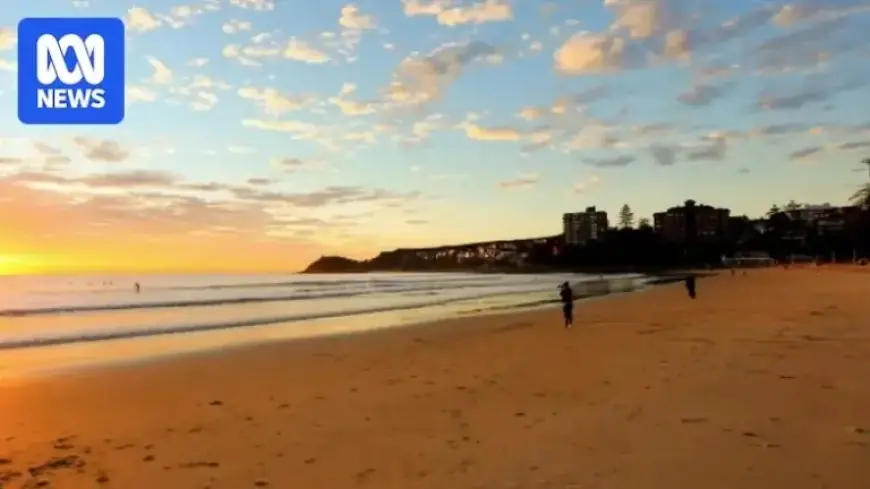 Shark Attacks Man at Sydney Beach: Third Incident in Two Days
