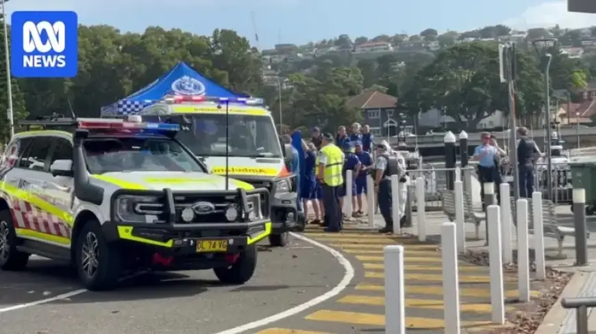 Authorities Reveal Rain Created ‘Perfect Storm’ for Shark Attack