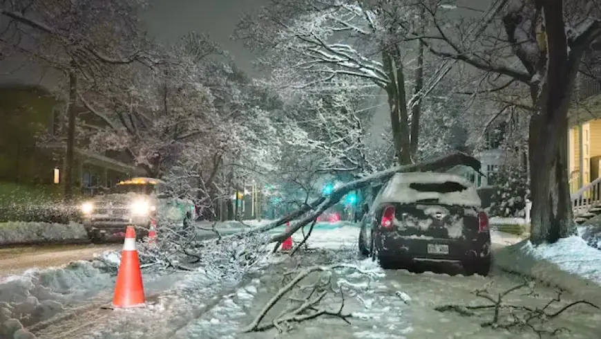 Winter Storm Strikes N.S., Leaving Thousands Without Power and Schools Closed