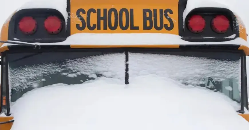 School Bus Cancellations Announced for Monday, January 19, 2026