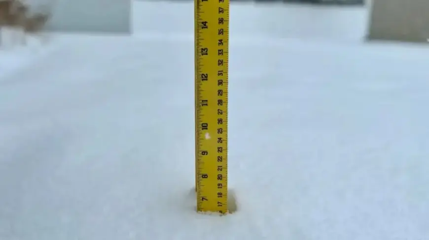 N.J. Weather Update: Snowfall Reaches 4-5 Inches in Multiple Towns