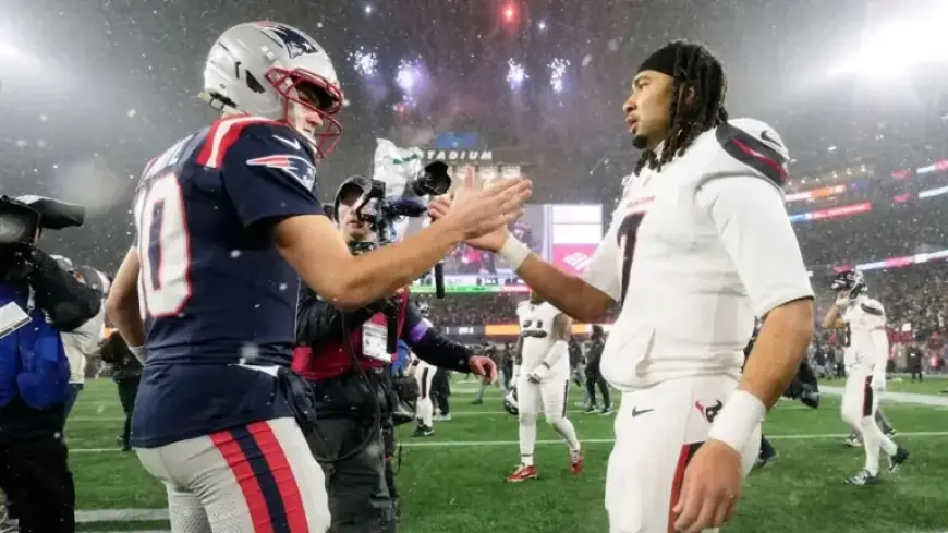 NFL Divisional Round: Key Winners and Losers from Texans, Patriots, Rams, Bears Matchups