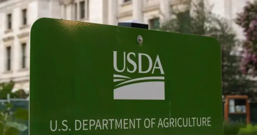 Listeria Risk Prompts Recall of Chicken in Seven States