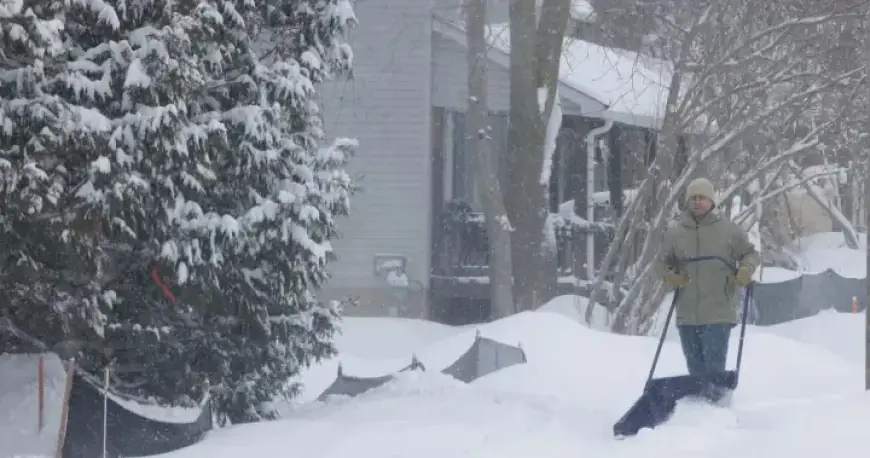 Blizzard and Snow Squall Warnings Issued for Ontario Regions