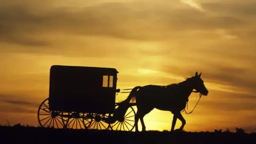 Amish Communities Embrace E-Bikes, Reducing Horse Reliance