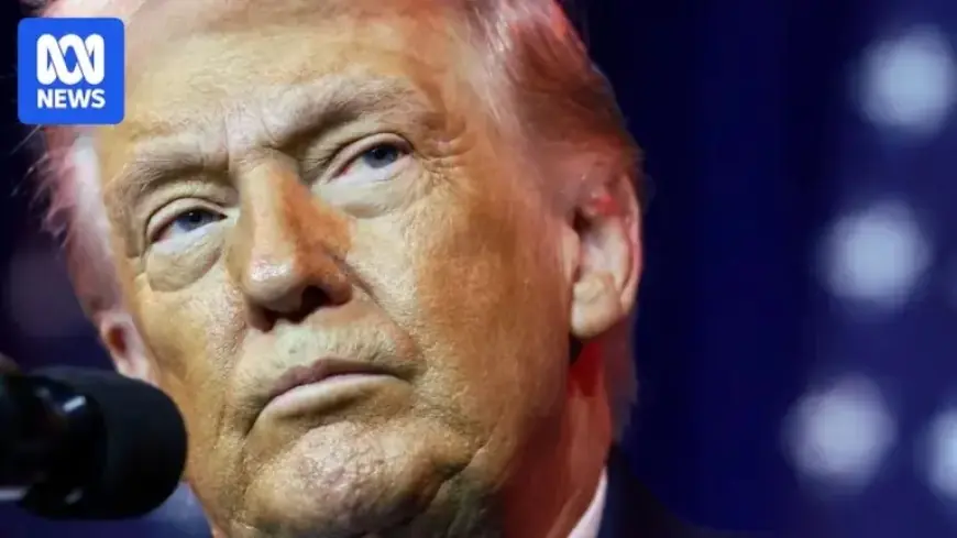 Analyzing Donald Trump’s Greenland Proposal: A Line-by-Line Breakdown