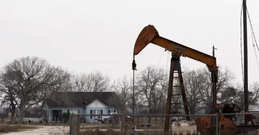 Oil Stabilizes with Iran Supply Concerns Easing; Greenland Gains Attention