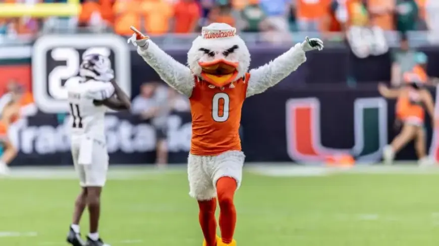 Discover the Miami Hurricanes Mascot: Sebastian the Ibis and UM Traditions