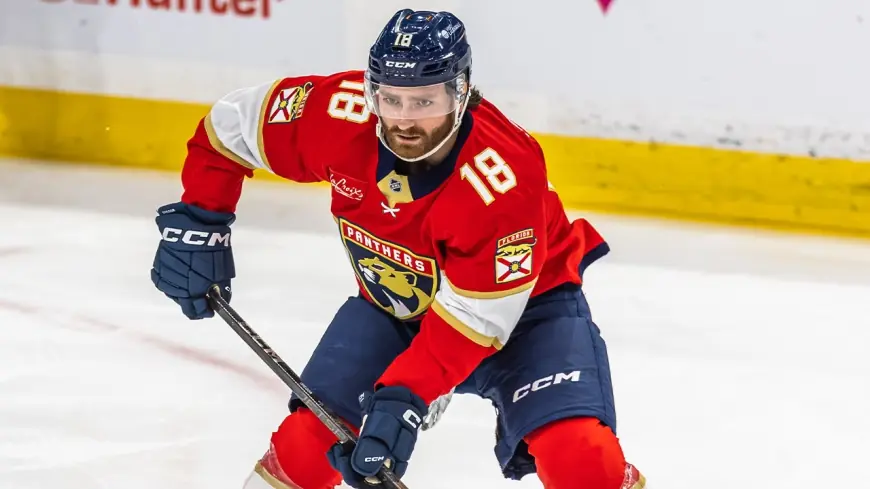 Alex Nedeljkovic goalie fight vs Florida Panthers turns chaotic Panthers–Sharks night into a viral NHL moment