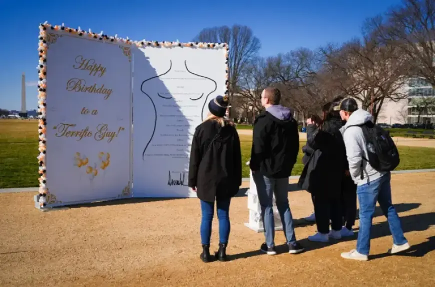 Powerful Protest Art on National Mall Targets Trump-Epstein Files