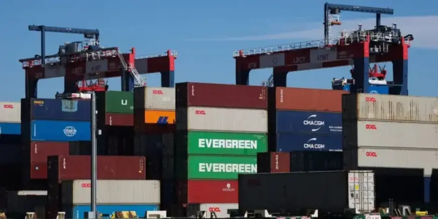 German Study Reveals Americans Bear Cost of Trump’s Tariffs