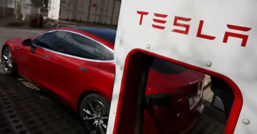 Tesla Set to Lead as Canada Embraces Chinese-Made EVs