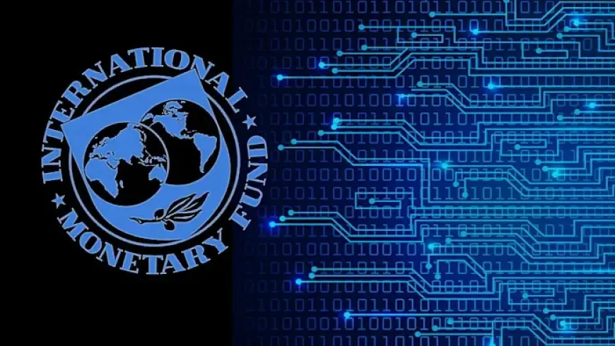 AI Flaws Could Threaten Global Economic Stability, Warns IMF