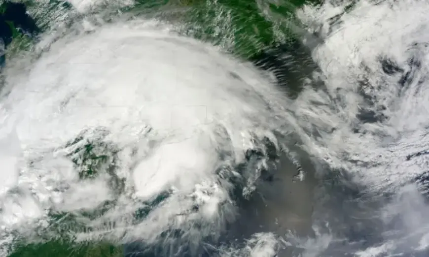 Leveraging Attribution Science to Enhance Grid Resilience