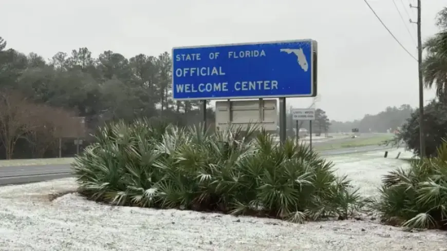 Unexpected Snowfall Graces Florida Panhandle, Georgia, and Alabama