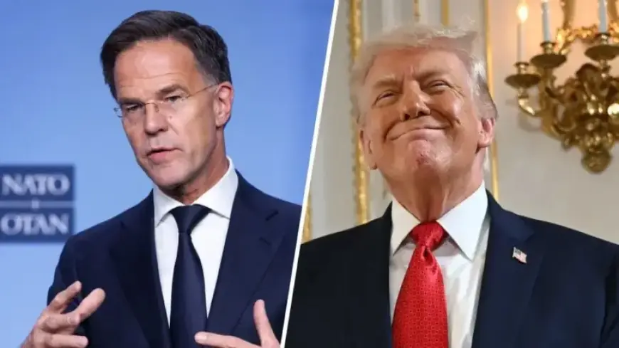 Trump Shares NATO Chief Rutte’s Message: ‘Charting a Path Forward for Greenland’