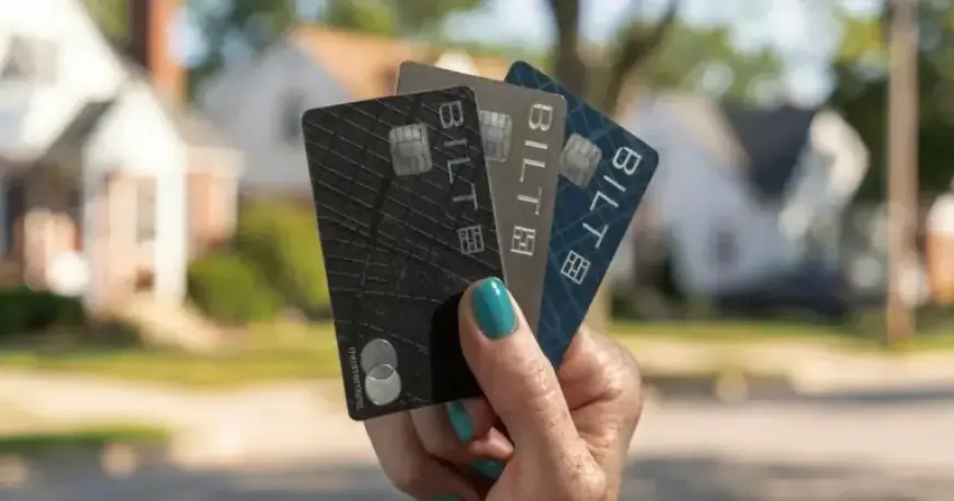 Credit Card Interest Rates: Are Companies Mandated to Cap at 10%?