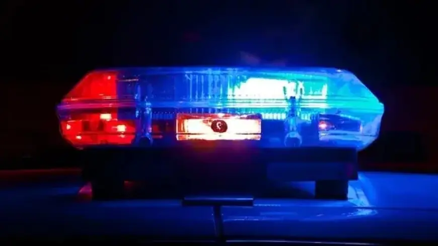 Gunmen Reported Near USF Tampa’s Urban Place Apartments: Shooting Alert Issued