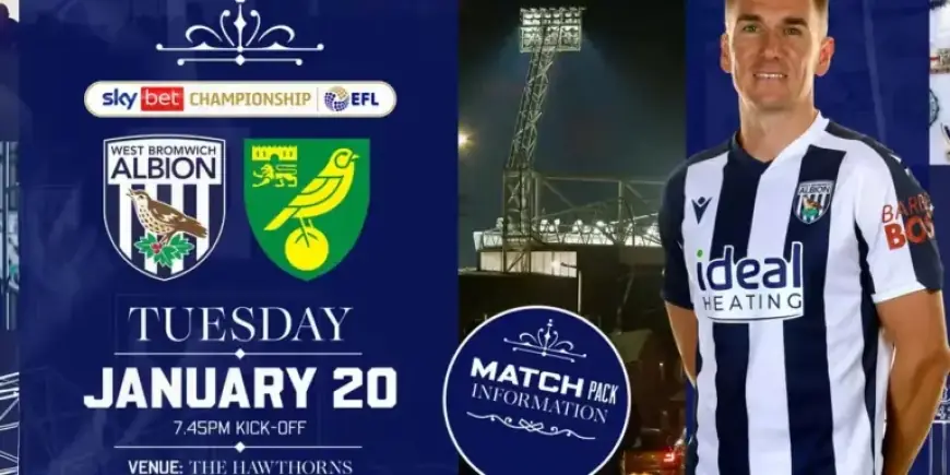 Albion Takes on Norwich City: Comprehensive Match Preview