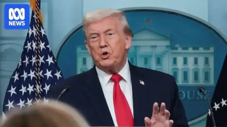 Europe Considers Response to Trump’s Greenland Proposal