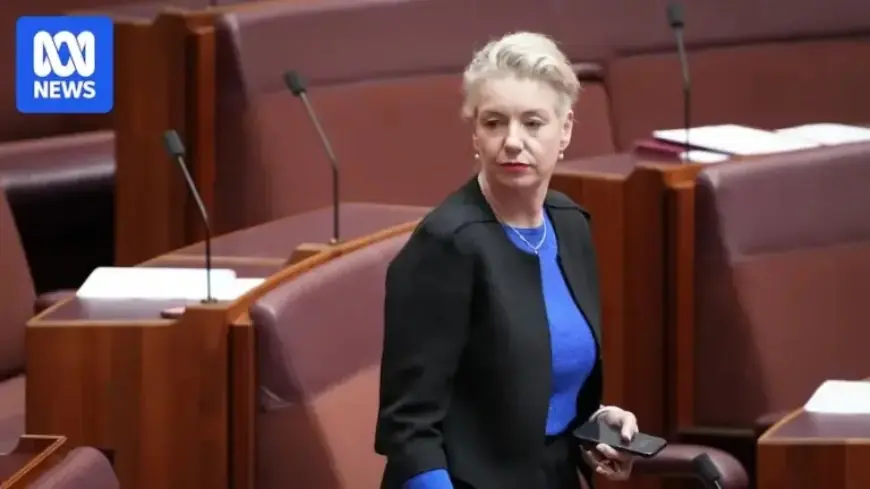 Senior Nationals Face Exit After Defying Shadow Cabinet Directives