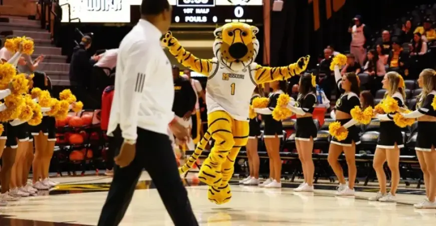 Tigers Host No. 21 Georgia Bulldogs in Columbia Showdown