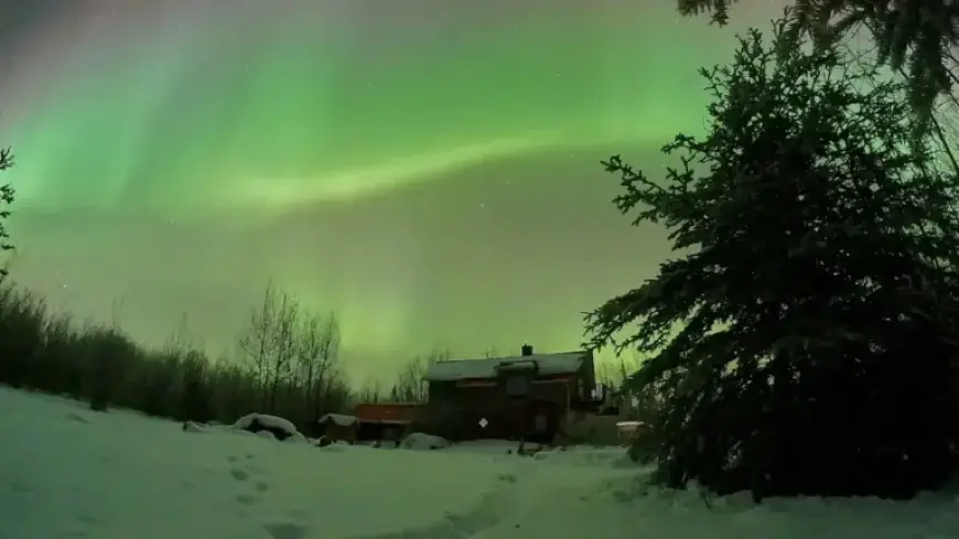 Stunning Timelapse Captures Northern Lights Illuminating the Yukon Sky