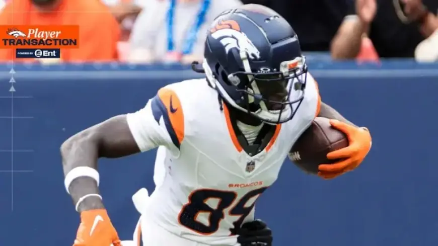 Broncos Add Wide Receiver Brandon Johnson to Practice Squad