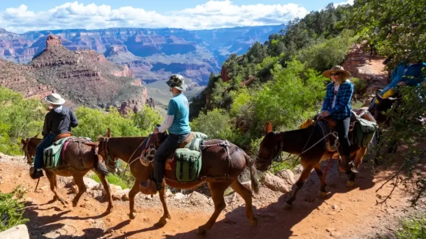 National Parks USA in 2026: What’s Changing, What’s New, and How to Plan a Smoother Trip