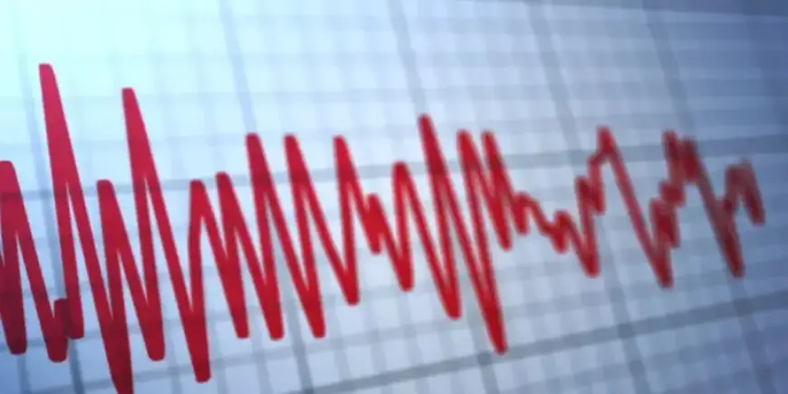 USGS Reports Earthquake Near Elgin
