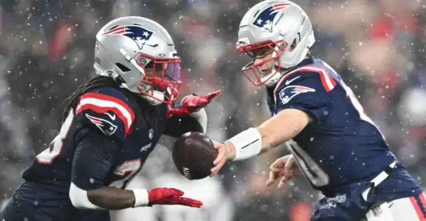 Patriots Dominant in Playoff Victory: Player Grades vs. Texans