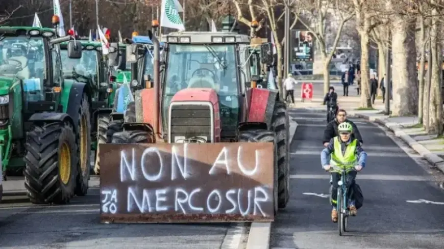 Controversy Surrounds EU-Mercosur Deal: Why Some Are Unhappy