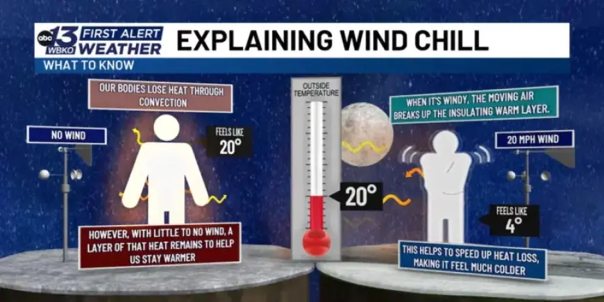 Understanding Wind Chill: What You Need to Know