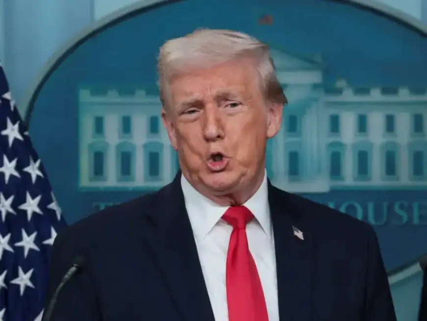 Trump Dismisses Somalia as a Country in Anti-Immigrant Rant