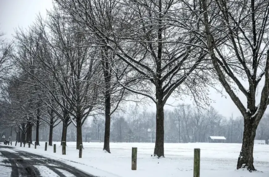 Pennsylvania Weather Forecast: Weekend Snow Amount Predictions