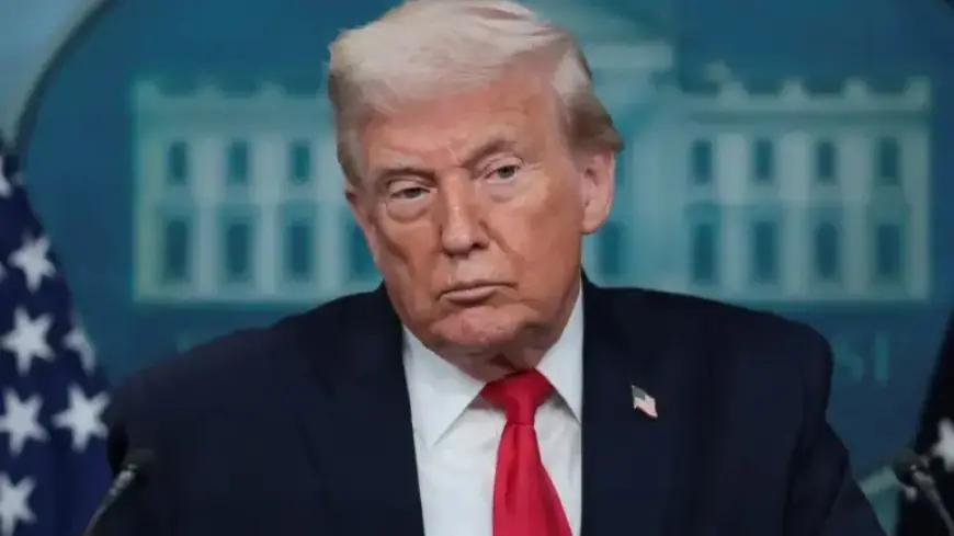 Amnesty Warns: Trump Term Sparks Human Rights Crisis After One Year