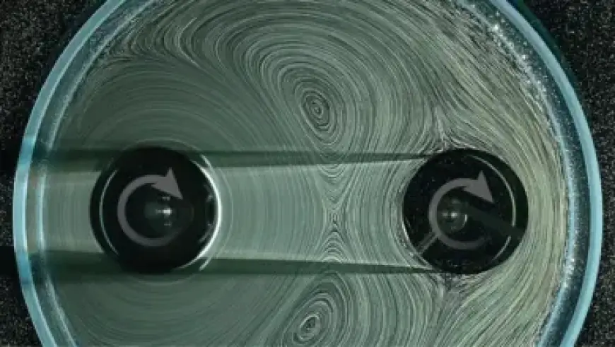 “Blue Dominates the MTG Arena Zone”