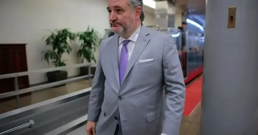 Ted Cruz Flies to Laguna Beach Amid Texas Winter Storm Alert