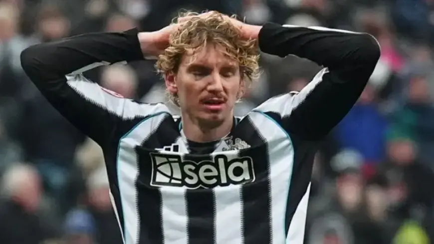 Nick Woltemade Struggles to Replace Alexander Isak at Newcastle: Hits & Misses