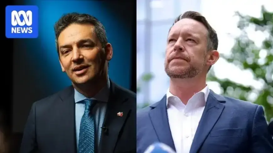 Labor Accuses SA Liberals of Attempting to Destabilize via Leaked Document